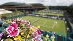 Bug hotel and electric vehicles among green developments at Wimbledon 2022