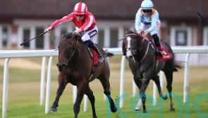 Rocket Rodney powers to Dragon Stakes victory