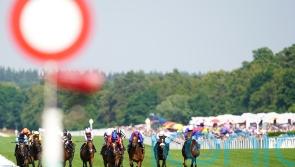 Motion keen on Ascot return with Spendarella