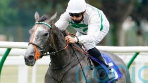 Alpinista downs big guns in Saint-Cloud