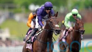 Palmer hoping to taste July Cup glory with Flaming Rib