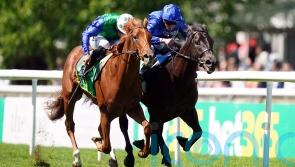 Superlative effort from Isaac Shelby at Newmarket