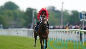 Quinn eyeing international campaign for Highfield Princess