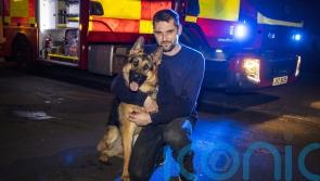 Young dog rescued by rope from waterfall in Co Antrim