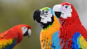 Toy giant pulls out of Russia, shutting 81 stores