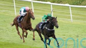 Goodwood Cup return in prospect for Ocean Wind