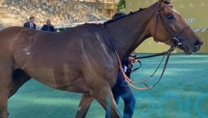 Raclette too good for Malleret rivals