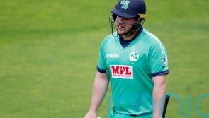 Paul Stirling shines as Ireland fall just short of first win against New Zealand