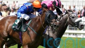 Mr Wagyu strikes Scurry gold for John Quinn