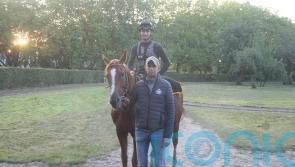 Torquator Tasso given green light for King George