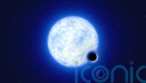 European scientists discover black hole in neighbouring galaxy