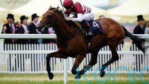 Boughey eyeing Haydock or Deauville for Missed The Cut