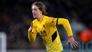 Wolves striker Fabio Silva signs new contract and joins Anderlecht on loan