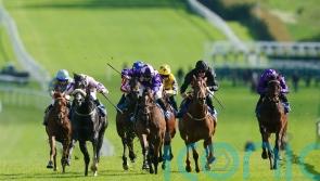 Tagline setting the standard in promise-packed Star Stakes