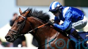 Sussex spectacular still on the cards