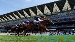 O&rsquo;Brien preparing healthy Goodwood squad