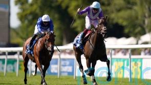 Alcohol Free all set to give Jeff Smith more Goodwood glory