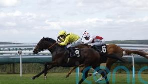 Vintage performance from Marbaan promises much