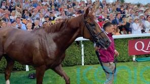 We&rsquo;re not going to say goodbye after that &ndash; Nielsen on Stradivarius