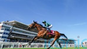 Doyle and Nashwa seeking more Group One glory