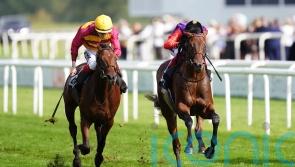 Bayside Boy in good shape for Thoroughbred challenge