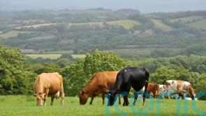 Widespread anger among farming communities over &lsquo;unrealistic&rsquo; emissions target