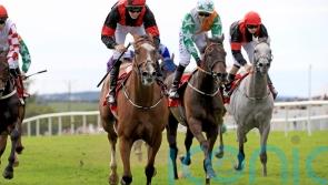 Current Option takes final-day feature once again at Galway