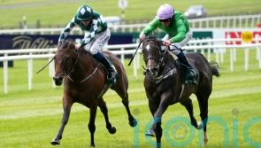 Deauville ground key to Brad The Brief outing