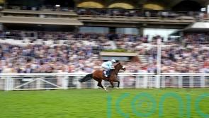 Nunthorpe option open for Goodwood scorer The Platinum Queen