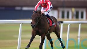 Rocket Rodney set for French assignment in Breeders&rsquo; Cup build-up