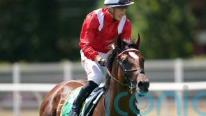 Grocer Jack aiming to blossom in Rose of Lancaster