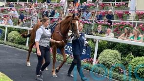 Piechulek&rsquo;s confidence growing in Tasso&rsquo;s Arc repeat bid