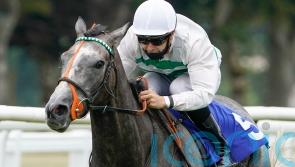 Alpinista to chase five-timer in Yorkshire Oaks