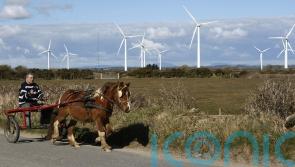 Wind energy provided 34% of Ireland&rsquo;s power this year, new figures show