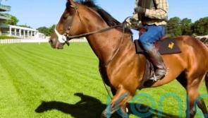 Ward sets out Breeders&rsquo; Cup hat-trick aim for Golden Pal