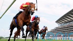 State Of Rest out to prove mile credentials in Prix Jacques le Marois