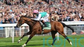 Remembering the day Frankel brought York to a standstill