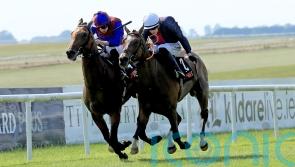 Luxembourg given a scare in Royal Whip comeback