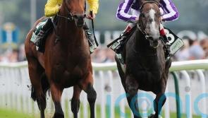 Like father, like son? Oxx expecting Baaeed to go the distance