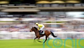 Cox sets sights on Flying Five with Caturra