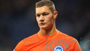 Brighton goalkeeper Kjell Scherpen joins Vitesse Arnhem on season-long loan