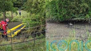 Lamb found stuck in mud rescued and returned to flock