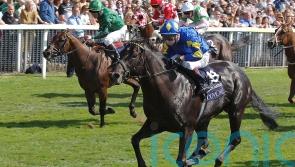 Jimmy Quinn rates The Platinum Queen&rsquo;s chance of Nunthorpe gold