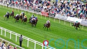 Lightly-raced Haskoy making giant strides