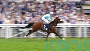 The Platinum Queen does Middleham Park team proud