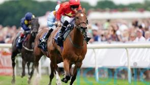 Highfield Princess is truly a dream come true for Quinn