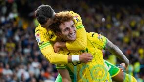 Josh Sargent double gives Norwich victory over Millwall