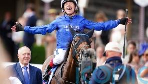 Dettori at his brilliant best as Trawlerman wins Ebor