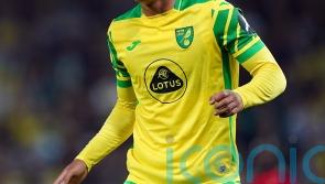 Adam Idah could play some part for Norwich against Bournemouth after injury