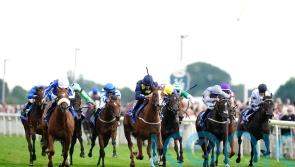 Queen Me team keen to avoid Swingalong rematch